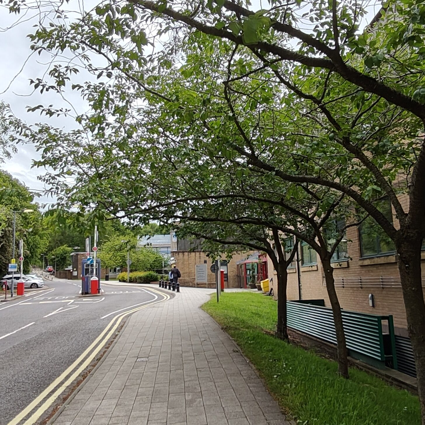 Stone-tiled path heading towards red-bricked buildings shaded by green trees. On the left-hand side is a road with double yellow lines.