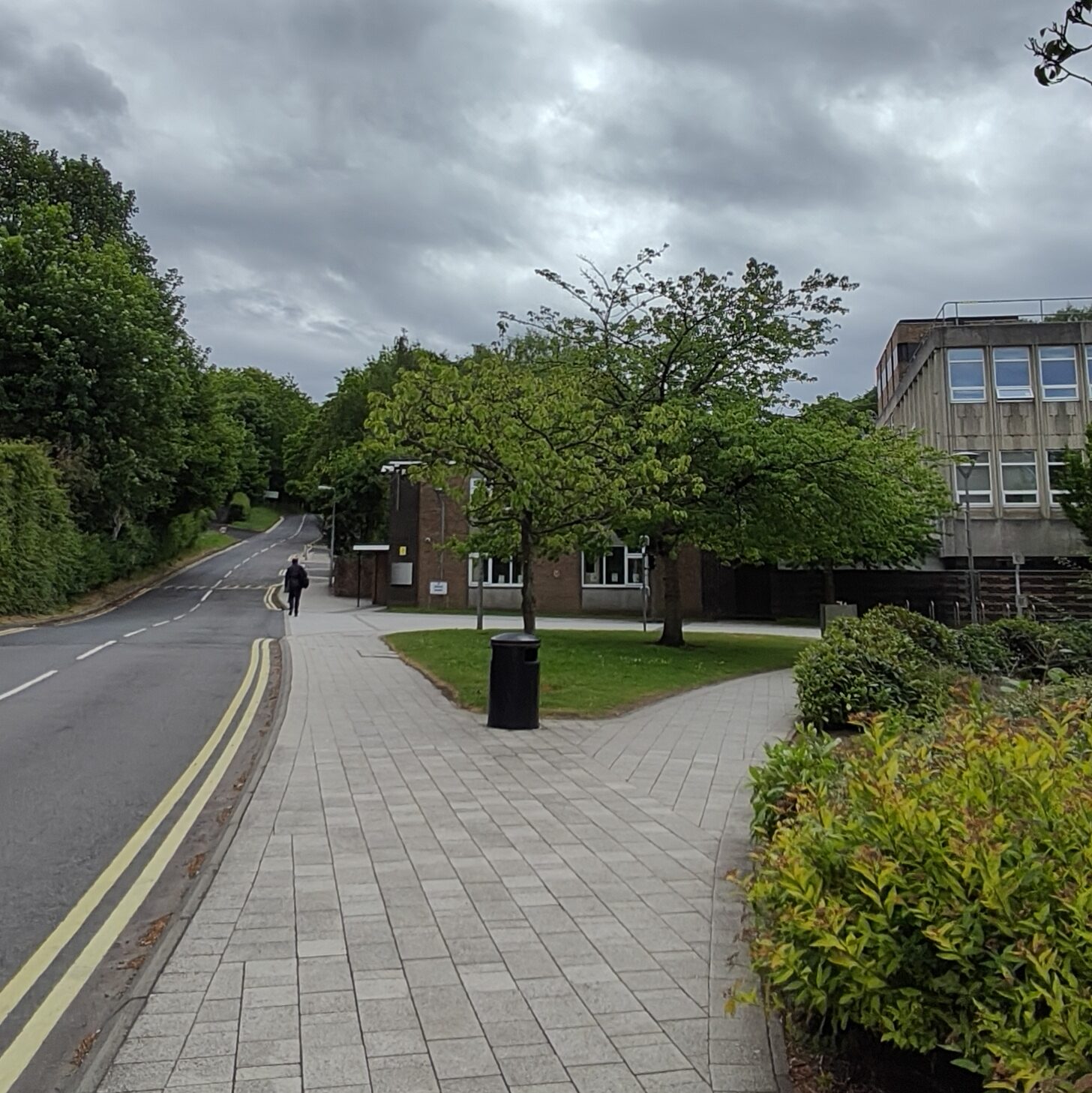 Splitting stone-tiled path with a bin at the fork. On the left-hand side is a road with double yellow lines.